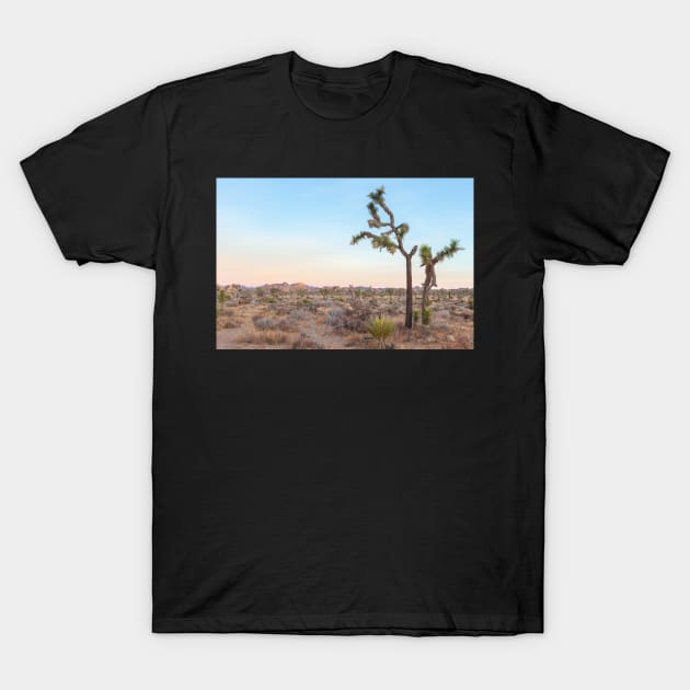Desert Yuccas T-Shirt by jvnimages